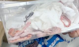 挖机挖到蛇 挖机挖到蛇