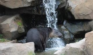 上海动物园门票团购