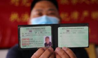 C6轻型牵引挂车图片